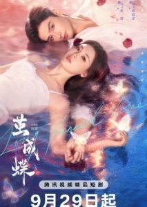 Long Planned Love (2025)